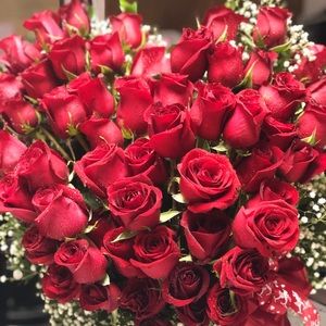 Meet your Posher, Priscilla